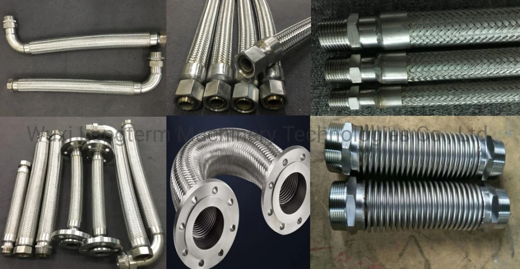 Stainless Steel Braided Flexible Metal Hose with Kinds of Fittings