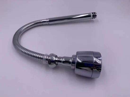 Modern Type Flexible High Quality Stainless Steel Kitchen Faucet with Spray Hose Pull out Flexible Hose
